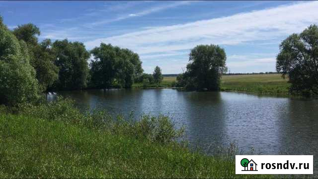 Участок СНТ, ДНП 1550 сот. на продажу в Воскресенске Воскресенск - изображение 1