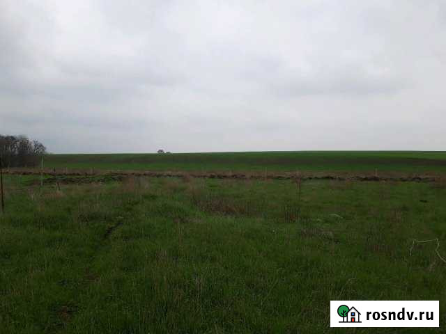 Участок СНТ, ДНП 3 сот. на продажу в Ростове-на-Дону Ростов-на-Дону - изображение 1