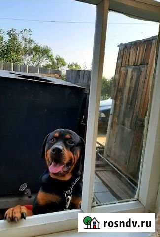 Дача 30 м² на участке 11 сот. на продажу в Братске Братск - изображение 1