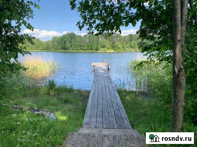 Участок ИЖС 80 сот. на продажу в Осташкове Осташков - изображение 1