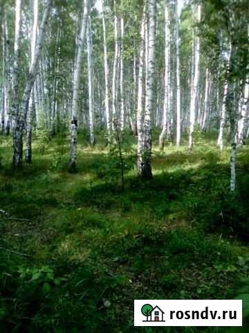 Участок ИЖС 20 сот. на продажу в Заречном Свердловской области Заречный - изображение 1