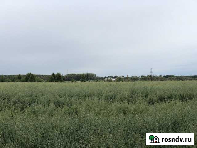 Участок СНТ, ДНП 200 сот. на продажу в Кемерово Кемерово - изображение 1