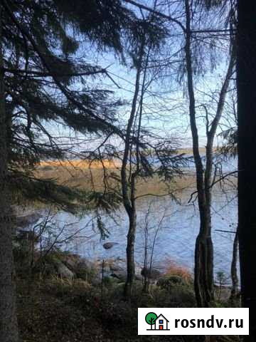 Участок СНТ, ДНП 6 сот. на продажу в Красной Долине Красная Долина - изображение 1