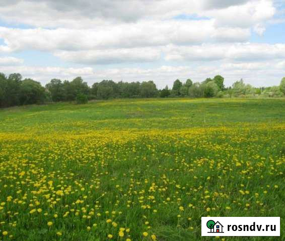 Участок СНТ, ДНП 500 сот. на продажу в Пскове Псков - изображение 1