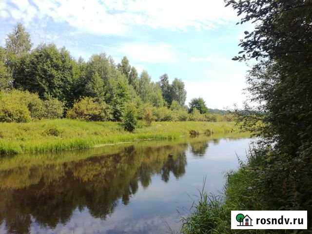 Участок СНТ, ДНП 2000 сот. на продажу в Новых Горках Новые Горки - изображение 1