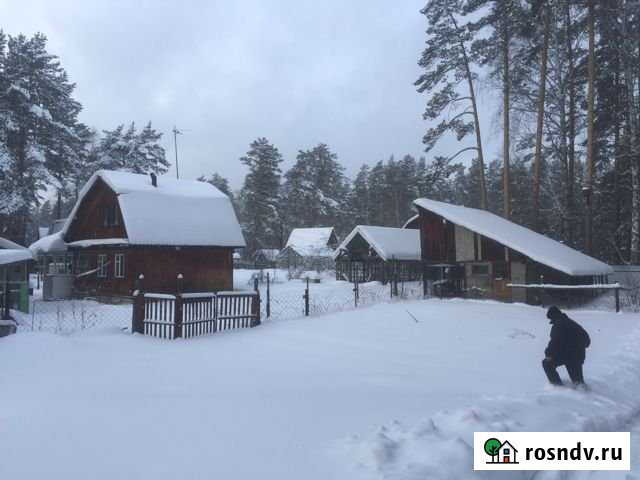 Дача 55 м² на участке 10 сот. на продажу в Бийске Бийск - изображение 1