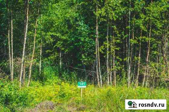 Участок СНТ, ДНП 8 сот. на продажу в Сестрорецке Сестрорецк