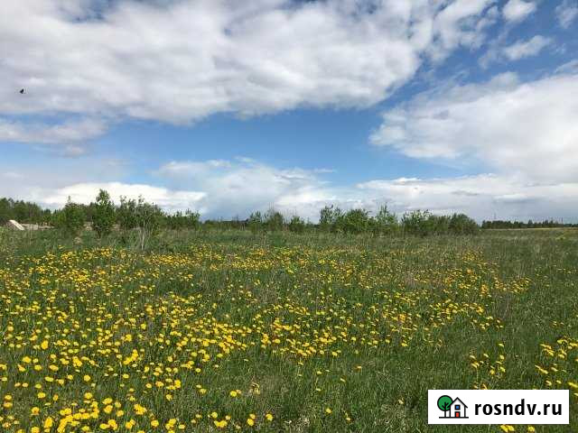 Участок ИЖС 15 сот. на продажу в Толмачево Ленинградской области Толмачево - изображение 1