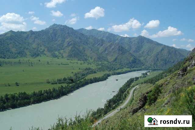 Участок СНТ, ДНП 500 сот. на продажу в Горно-Алтайске Горно-Алтайск - изображение 1