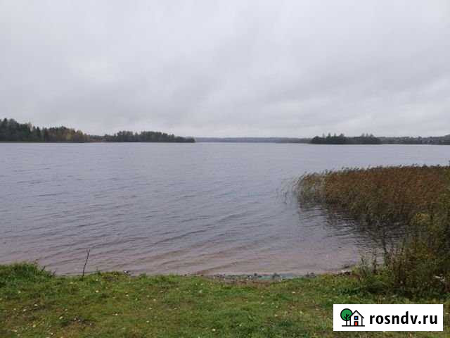 Участок ИЖС 50 сот. на продажу в Валдае Валдай - изображение 1