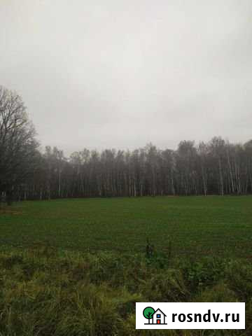 Участок ИЖС 34 сот. на продажу в Некрасовском Московской области Некрасовский - изображение 1