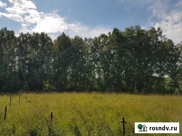 Участок ИЖС 15 сот. на продажу в Сокуре Сокур - изображение 1