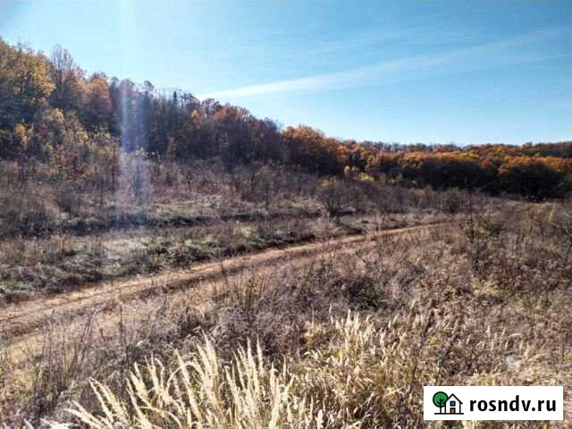 Участок СНТ, ДНП 400 сот. на продажу в Новоукраинском Краснодарского края Новоукраинский - изображение 1