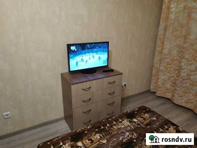 1-комнатная квартира, 35 м², 9/15 эт. в аренду на длительный срок в Мурино Мурино - изображение 1