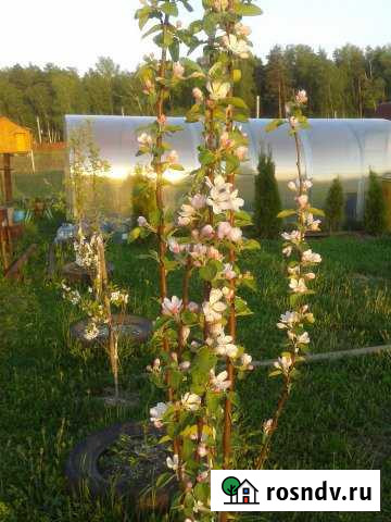 Дача 54 м² на участке 12.4 сот. на продажу в Тарусе Таруса - изображение 1