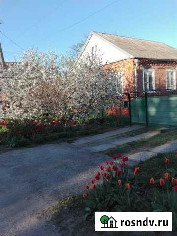 Дом 70 м² на участке 5 сот. на продажу в Ленинградской Ленинградская - изображение 1