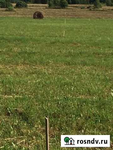 Участок СНТ, ДНП 10 сот. на продажу в Шаховской Шаховская - изображение 1