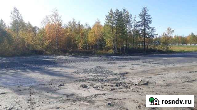 Участок СНТ, ДНП 14 сот. на продажу в Салехарде Салехард - изображение 1