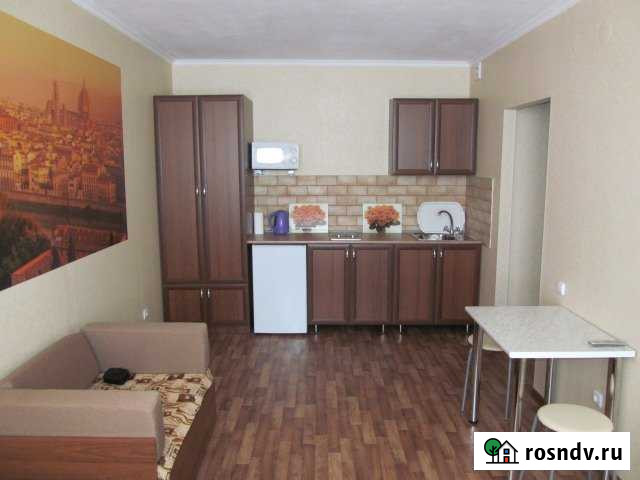 1-комнатная квартира, 27 м², 1/6 эт. в аренду посуточно в Ессентуках Ессентуки - изображение 1