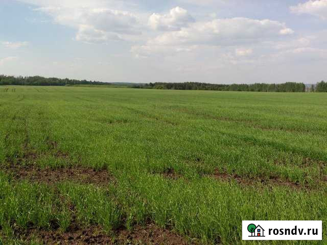 Участок СНТ, ДНП 19200 сот. на продажу в Усть-Кинельском Усть-Кинельский - изображение 1