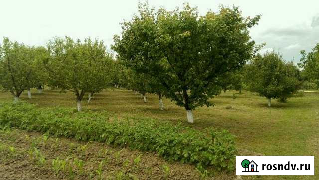 Участок ИЖС 20 сот. на продажу в Грайвороне Грайворон - изображение 1