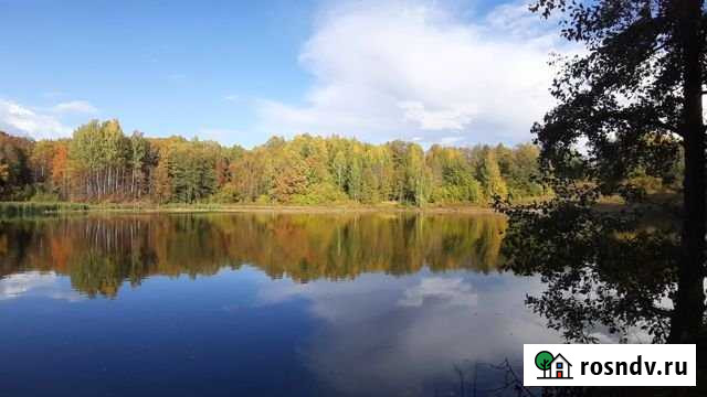 Участок ИЖС 6 сот. на продажу в Пестрецах Пестрецы - изображение 1