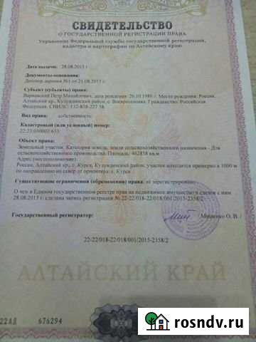 Участок СНТ, ДНП 462858 сот. на продажу в Кулунде Кулунда - изображение 1