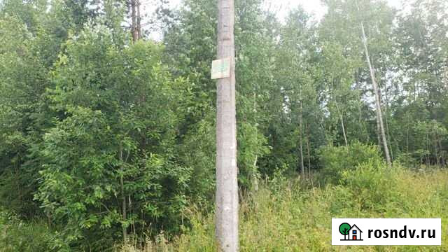 Участок СНТ, ДНП 6 сот. на продажу в Форносово Форносово - изображение 1