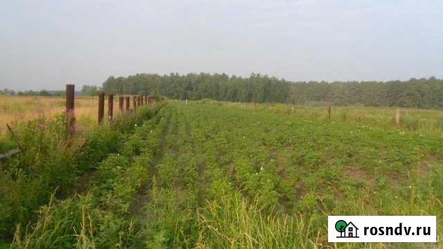 Участок ИЖС 18 сот. на продажу в Железногорске Красноярского края Железногорск - изображение 1