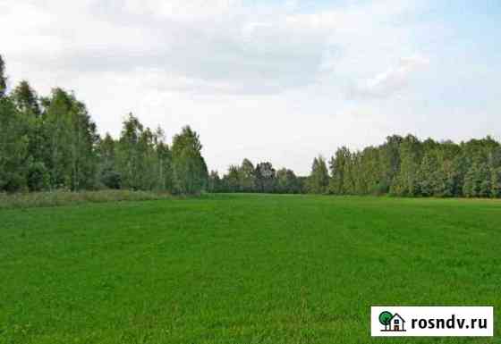 Участок СНТ, ДНП 540 сот. на продажу в Чебаркуле Чебаркуль