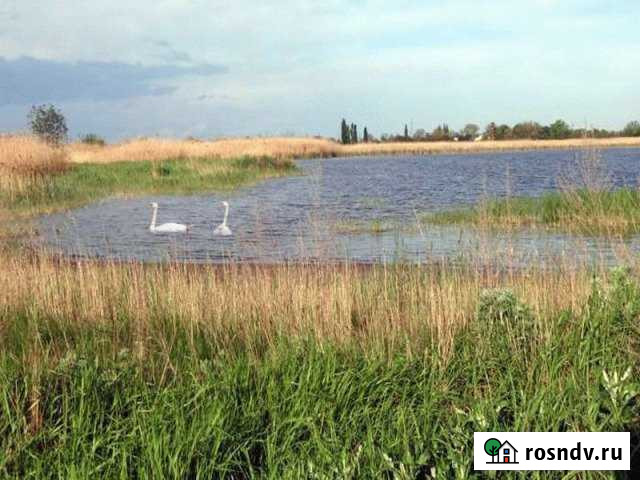 Участок СНТ, ДНП 750 сот. на продажу в Брюховецкой Брюховецкая - изображение 1