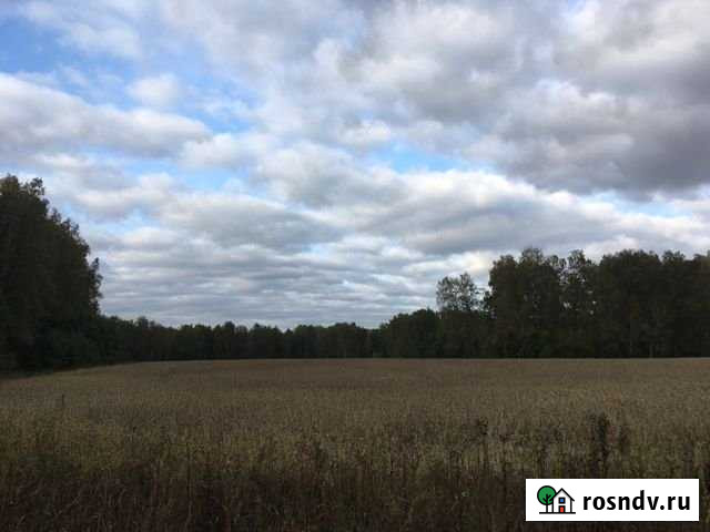 Участок ИЖС 840 сот. на продажу в Искитиме Искитим - изображение 1