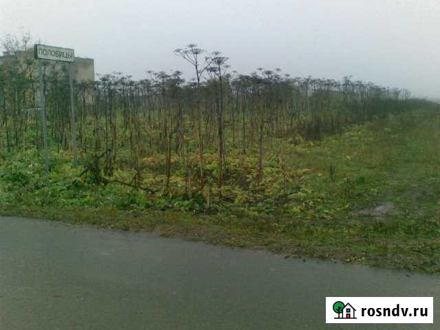 Участок СНТ, ДНП 411 сот. на продажу в Волосово Волосово - изображение 1