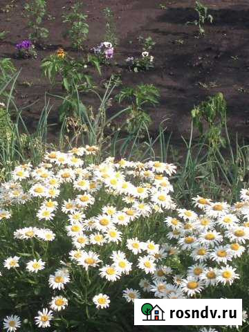 Участок ИЖС 20 сот. на продажу в Майском Белгородской области Майский - изображение 1