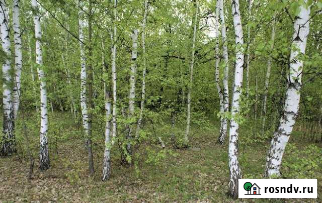 Участок СНТ, ДНП 10 сот. на продажу в Верее Верея - изображение 1