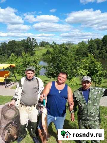 Дом 100 м² на участке 1000 сот. в аренду посуточно в Ярцево Ярцево - изображение 1