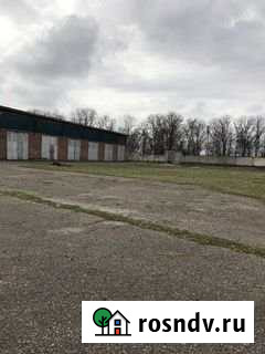 База в Брюховецкой. Собственник Брюховецкая - изображение 1