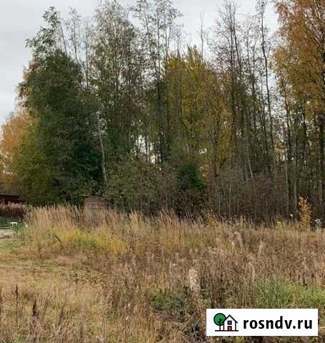 Участок СНТ, ДНП 9 сот. на продажу в Сестрорецке Сестрорецк - изображение 1