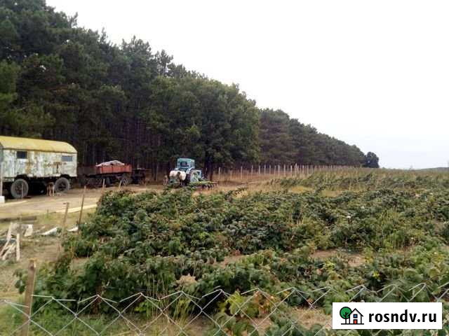 Участок СНТ, ДНП 1000 сот. на продажу в Бахчисарае Бахчисарай - изображение 1