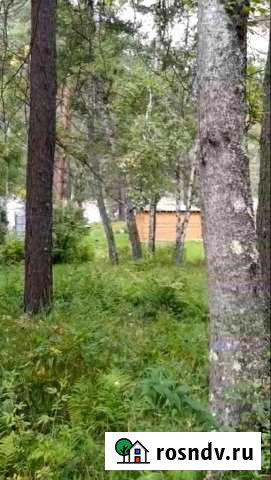 Участок ИЖС 80 сот. на продажу в Горно-Алтайске Горно-Алтайск - изображение 1