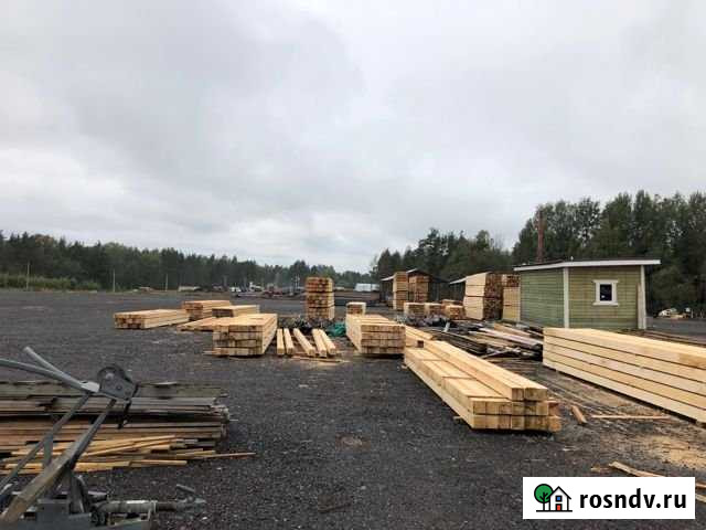 Участок промназначения 100 сот. на продажу в Сестрорецке Сестрорецк - изображение 1