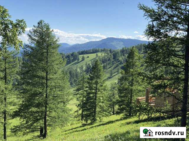 Участок СНТ, ДНП 30 сот. на продажу в Горно-Алтайске Горно-Алтайск - изображение 1