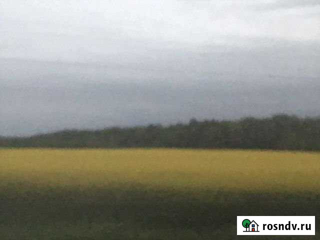 Участок ИЖС 12 сот. на продажу в Гурьевске Калининградской области Гурьевск - изображение 1