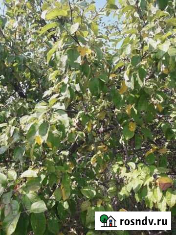 Дом 37 м² на участке 15 сот. на продажу в Балашихе Балашиха - изображение 1