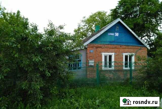 Дом 40 м² на участке 35 сот. на продажу в Новокорсунской Новокорсунская - изображение 1