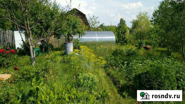 Дача 50 м² на участке 5 сот. на продажу в Васильево Васильево - изображение 1