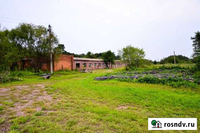 Участок СНТ, ДНП 200 сот. на продажу в Хабаровске Хабаровск - изображение 1