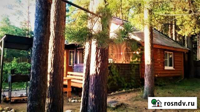 Дом 56 м² на участке 25 сот. в аренду посуточно в Селижарово Селижарово - изображение 1