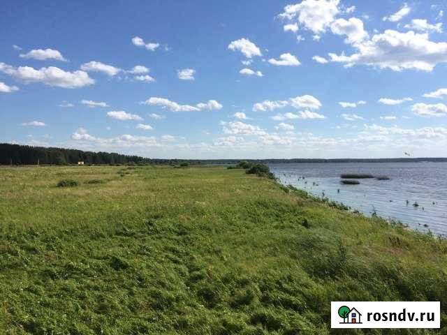 Участок СНТ, ДНП 70 сот. на продажу в Некрасовском Ярославской области Некрасовское - изображение 1