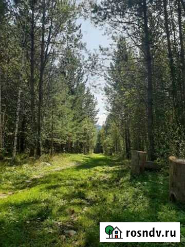 Участок СНТ, ДНП 25 сот. на продажу в Турочаке Турочак - изображение 1